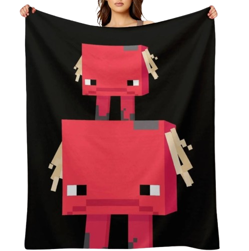 Surveyor Thermal Blanket and Surveyor Baby - Minecraft